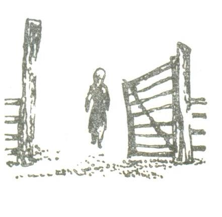 Рисунок А. Мошева к рассказу В. Климова "Я уже большая"
